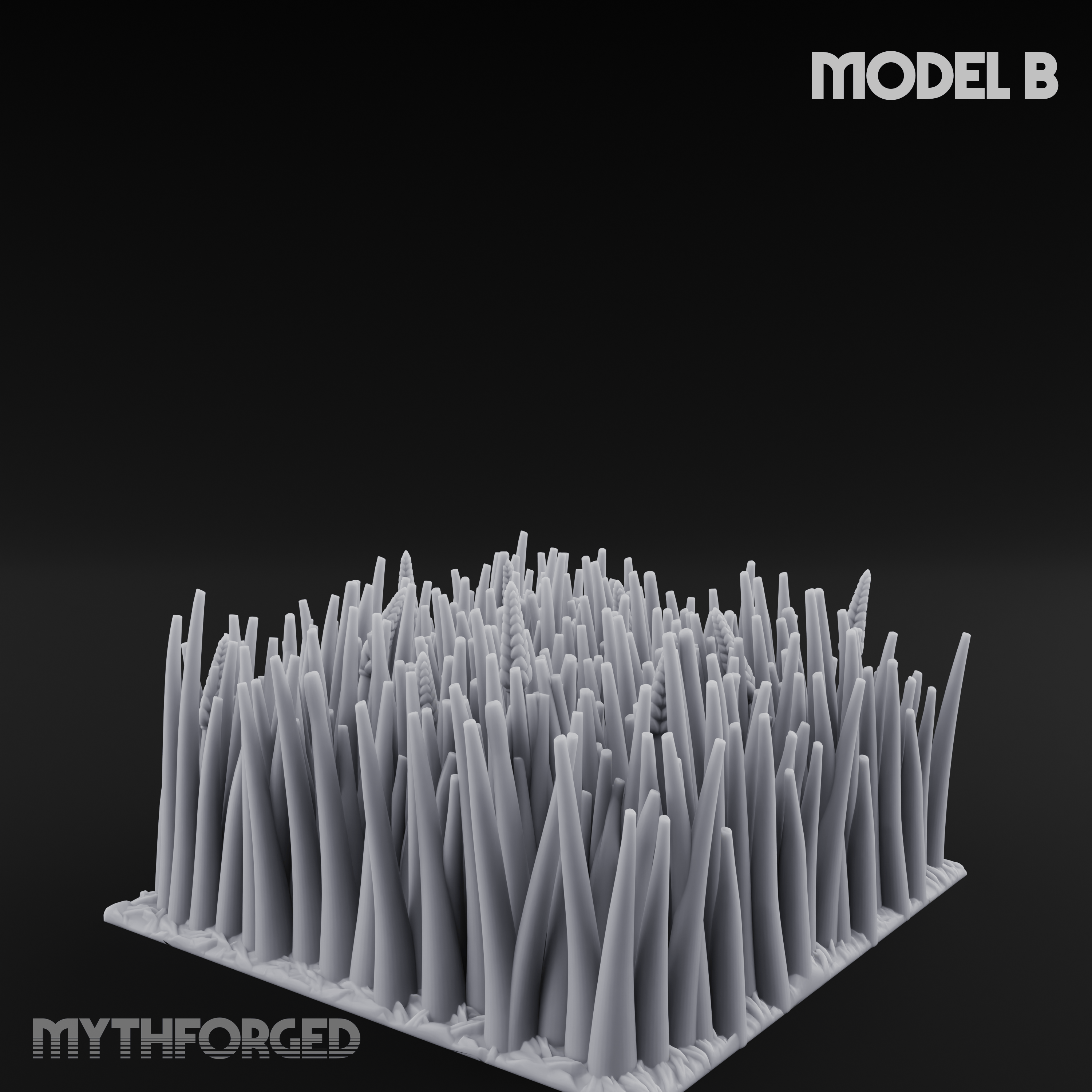 Cultivated Wildflower Meadows B