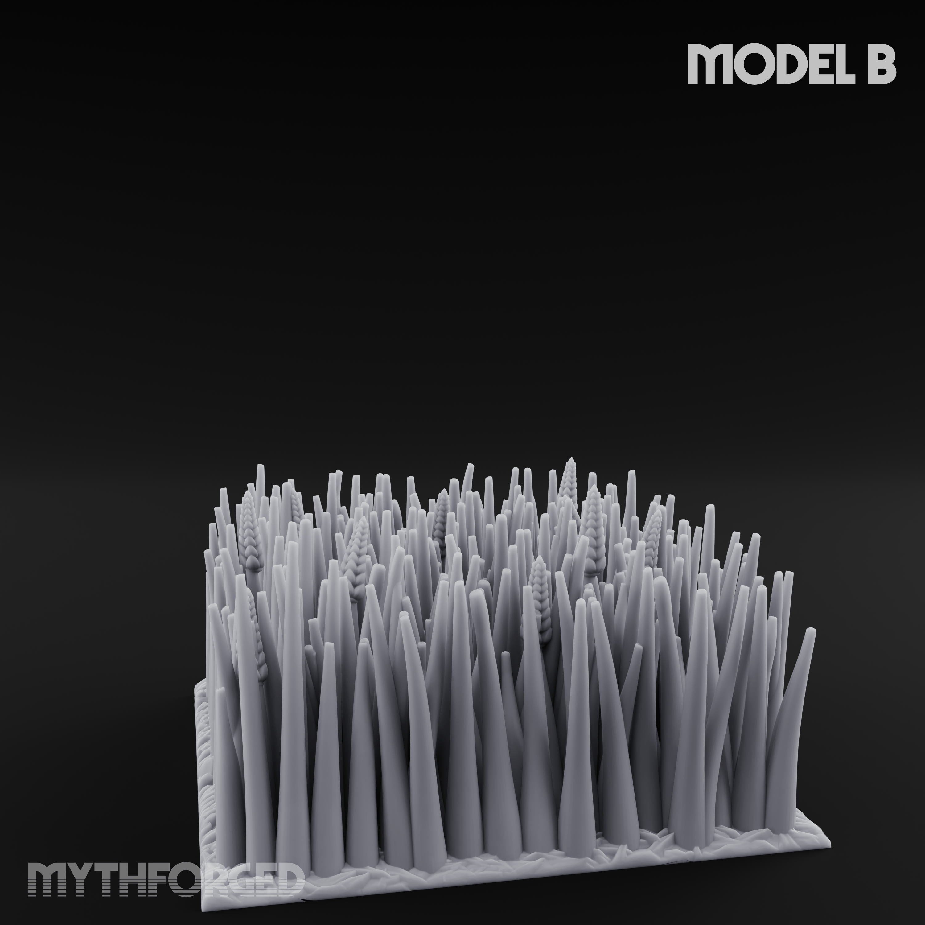 Cultivated Wildflower Meadows B