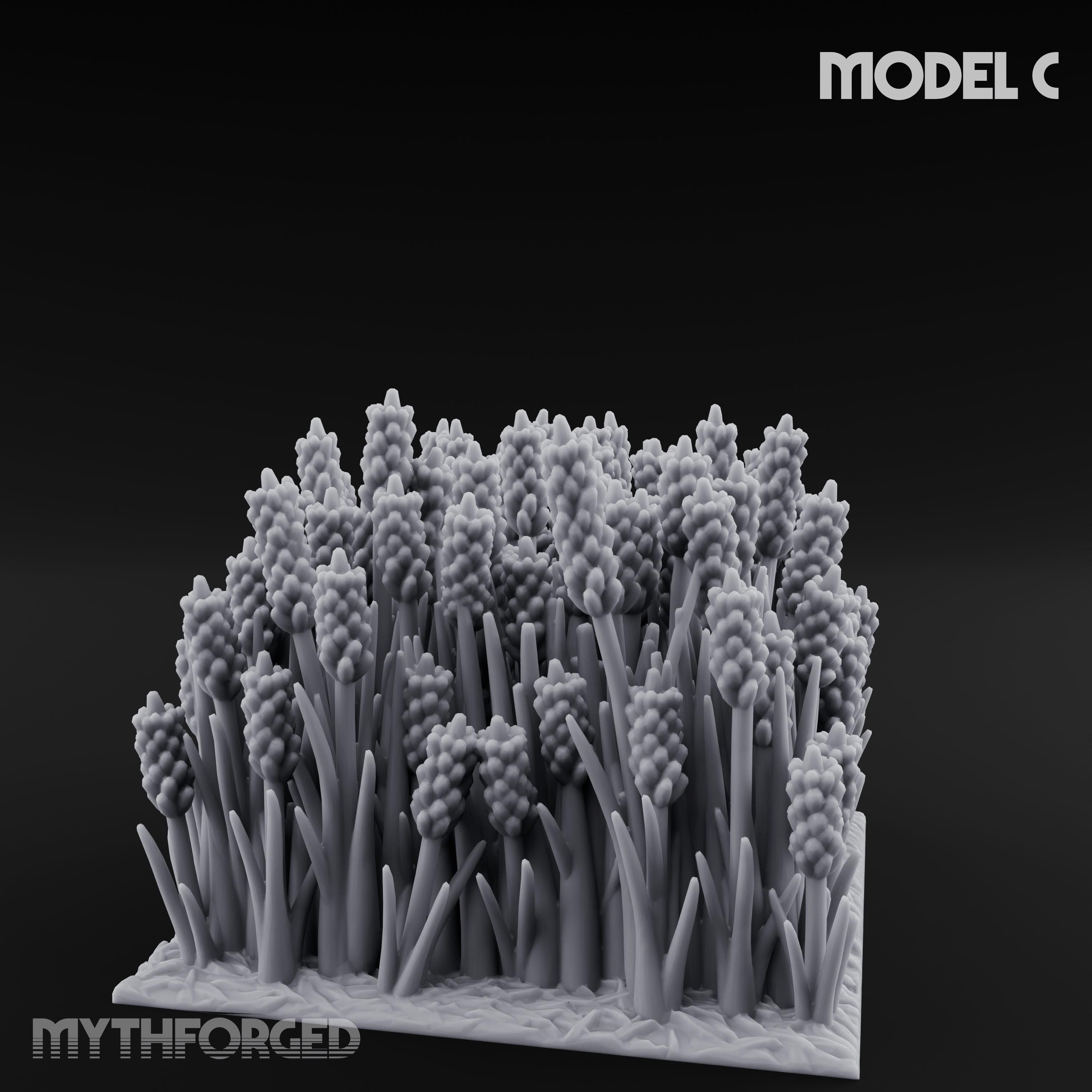 Cultivated Wildflower Meadows C