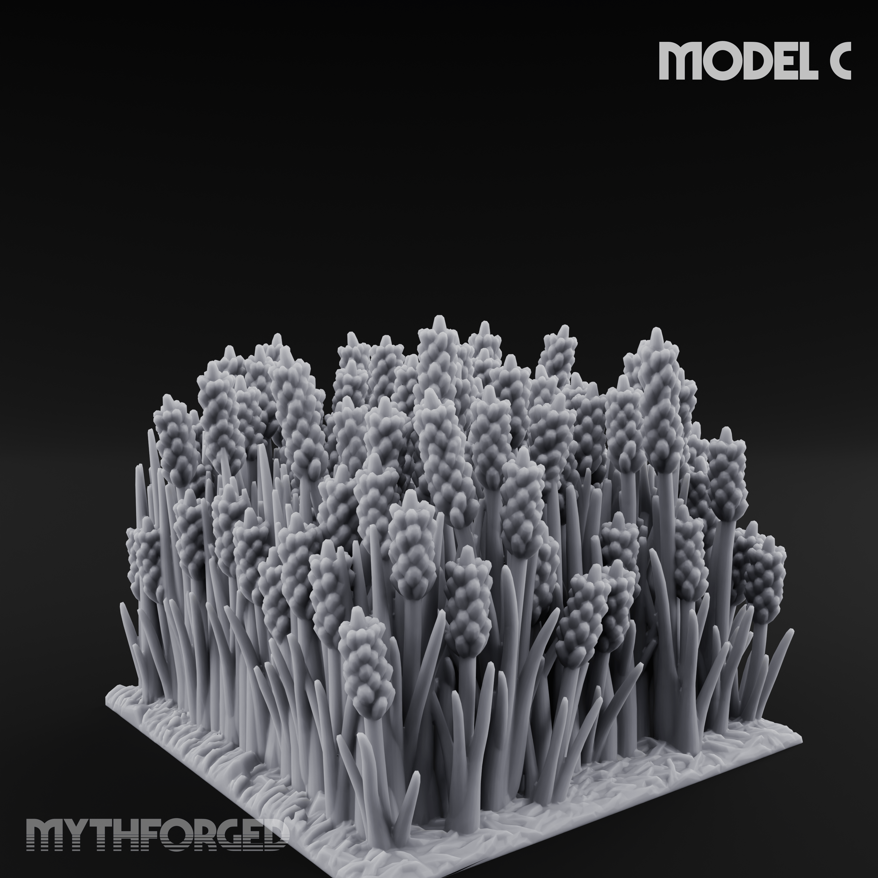 Cultivated Wildflower Meadows C