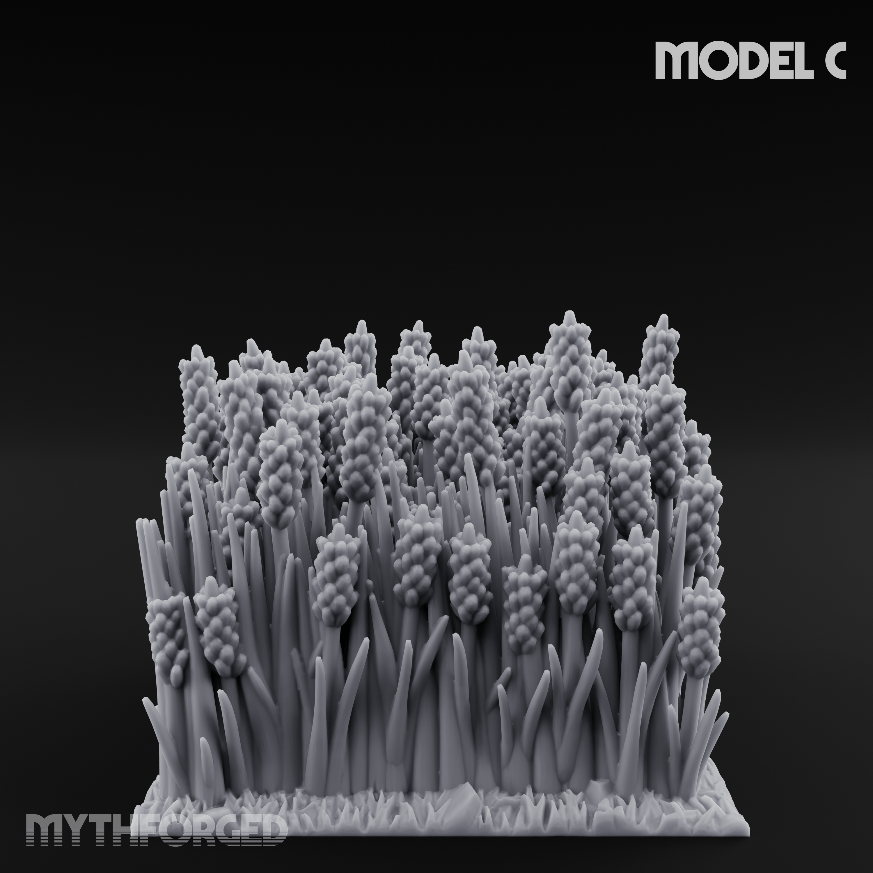 Cultivated Wildflower Meadows C