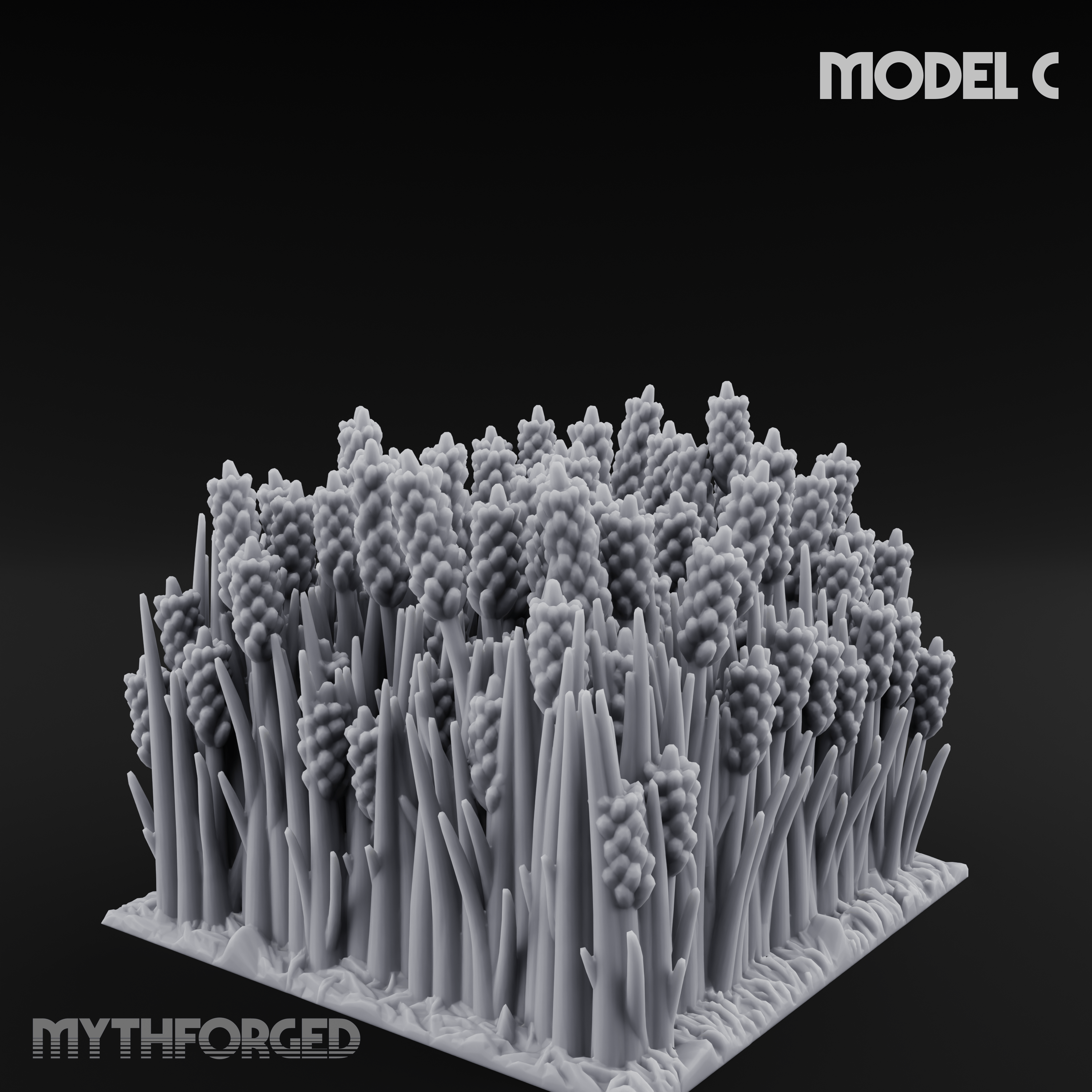 Cultivated Wildflower Meadows C