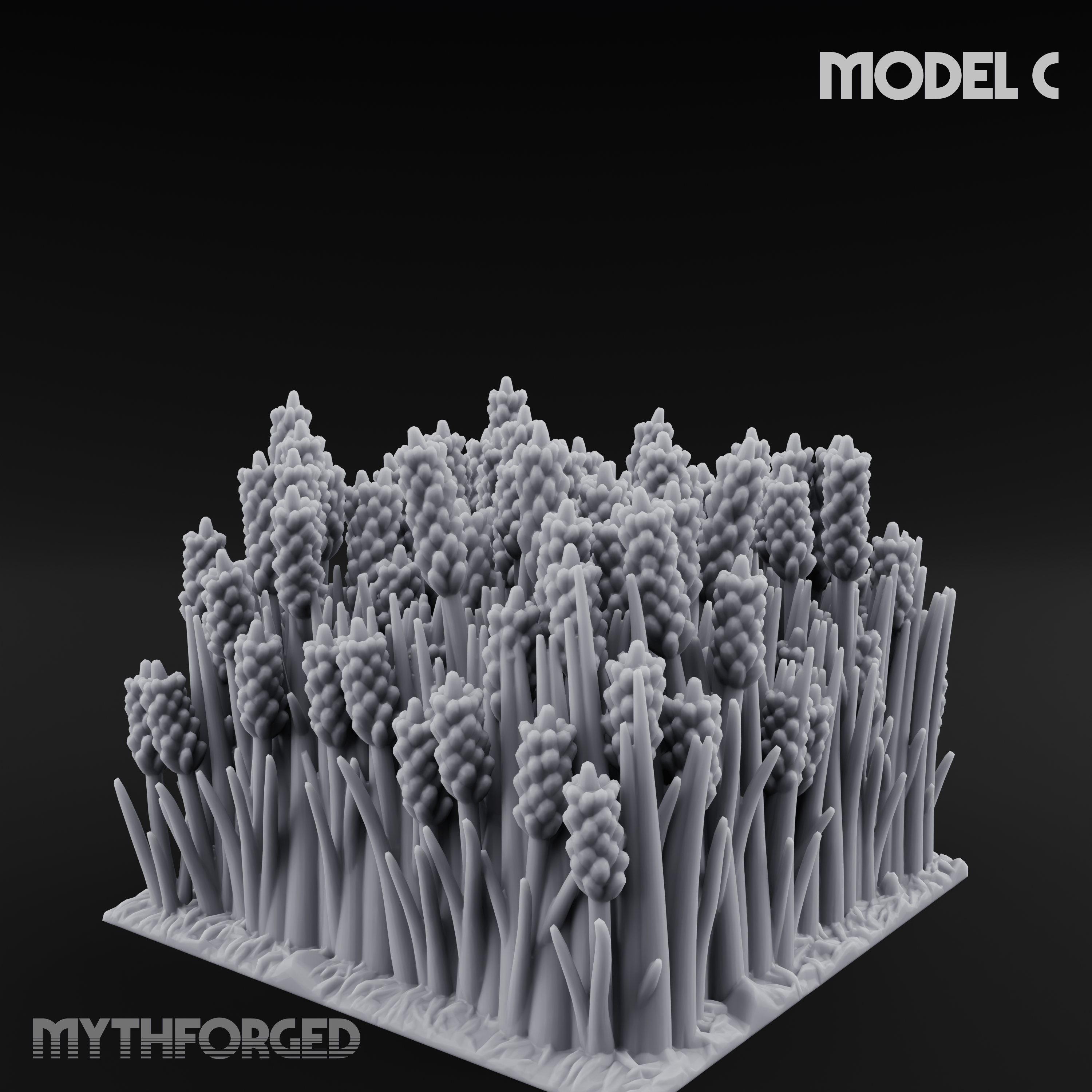 Cultivated Wildflower Meadows C