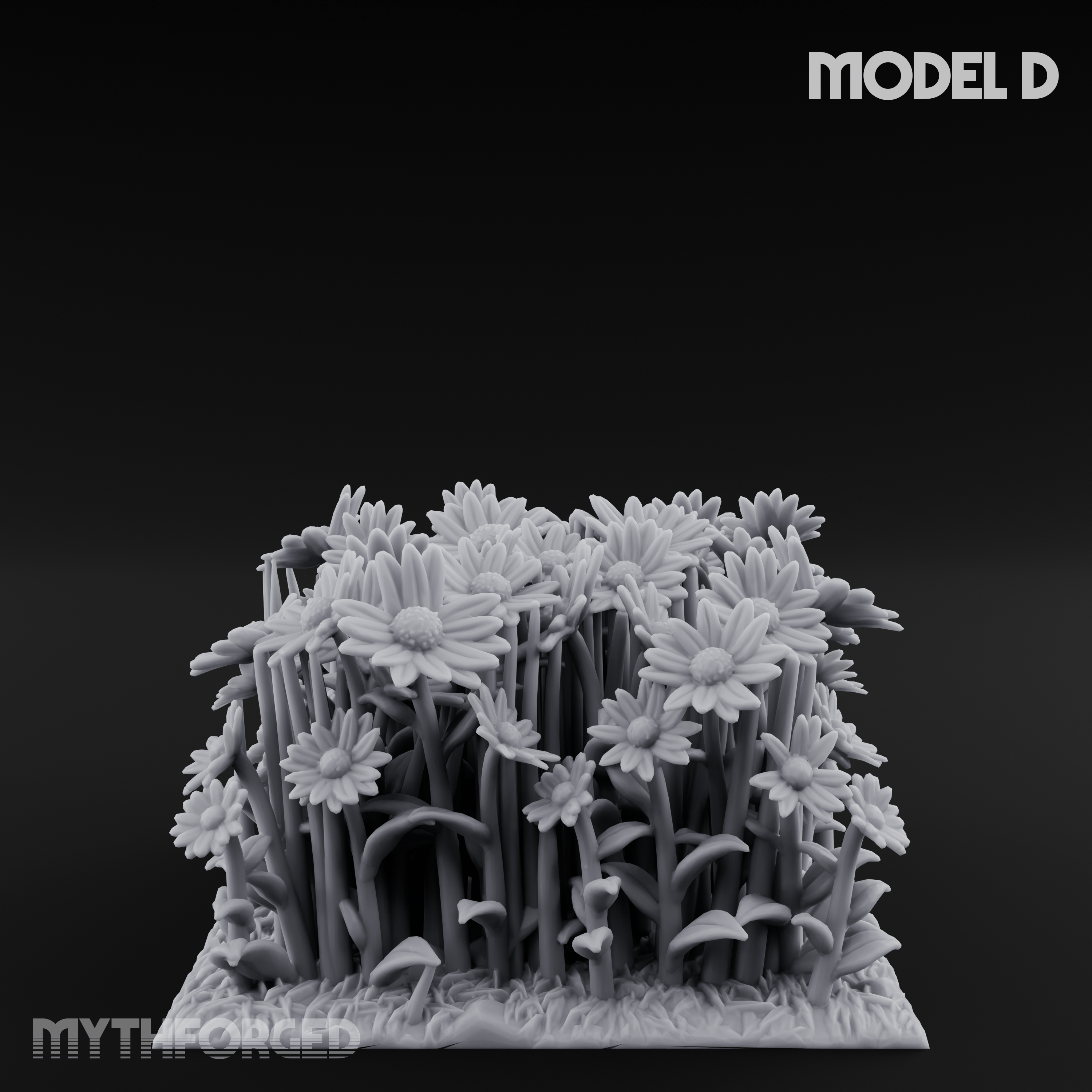 Cultivated Wildflower Meadows