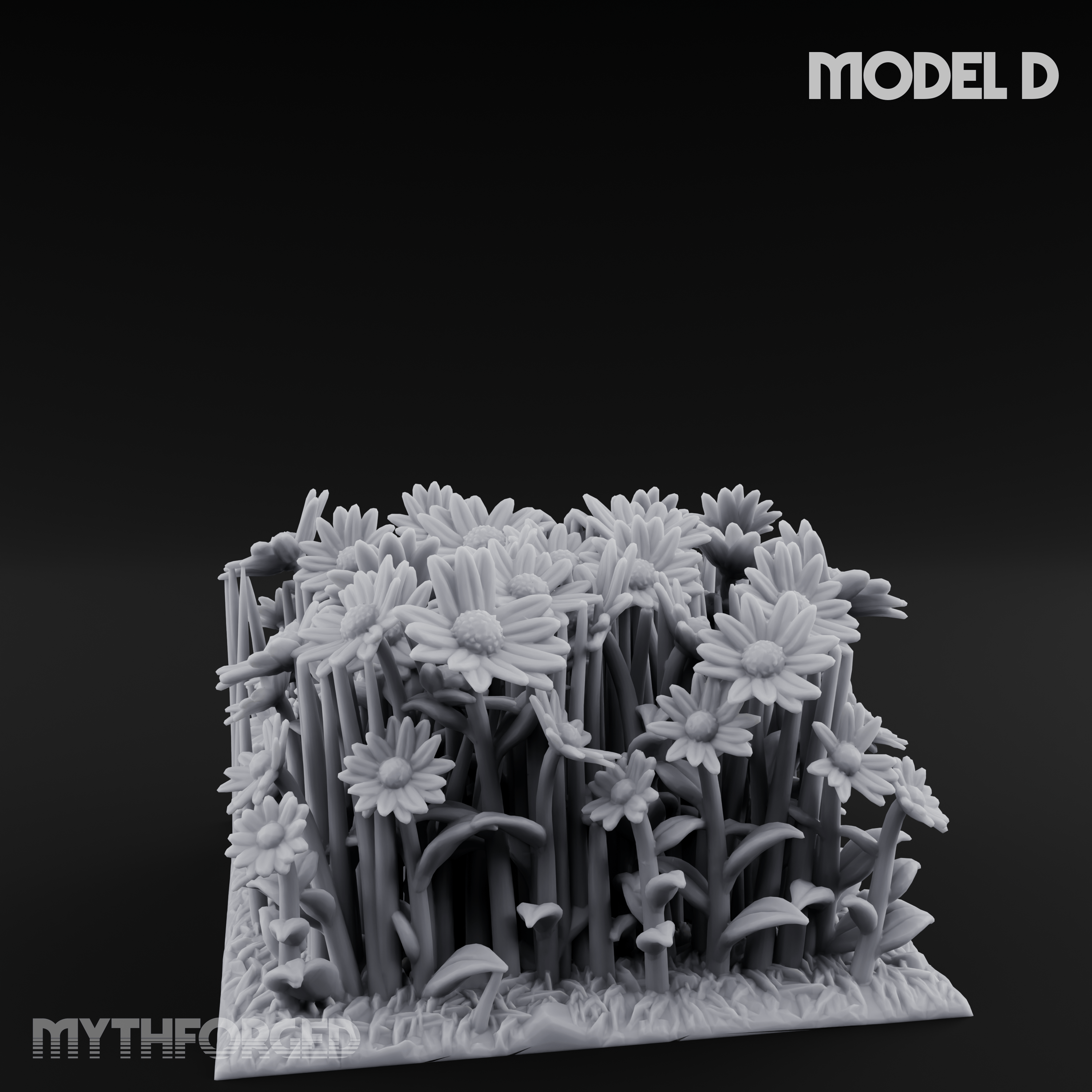 Cultivated Wildflower Meadows D