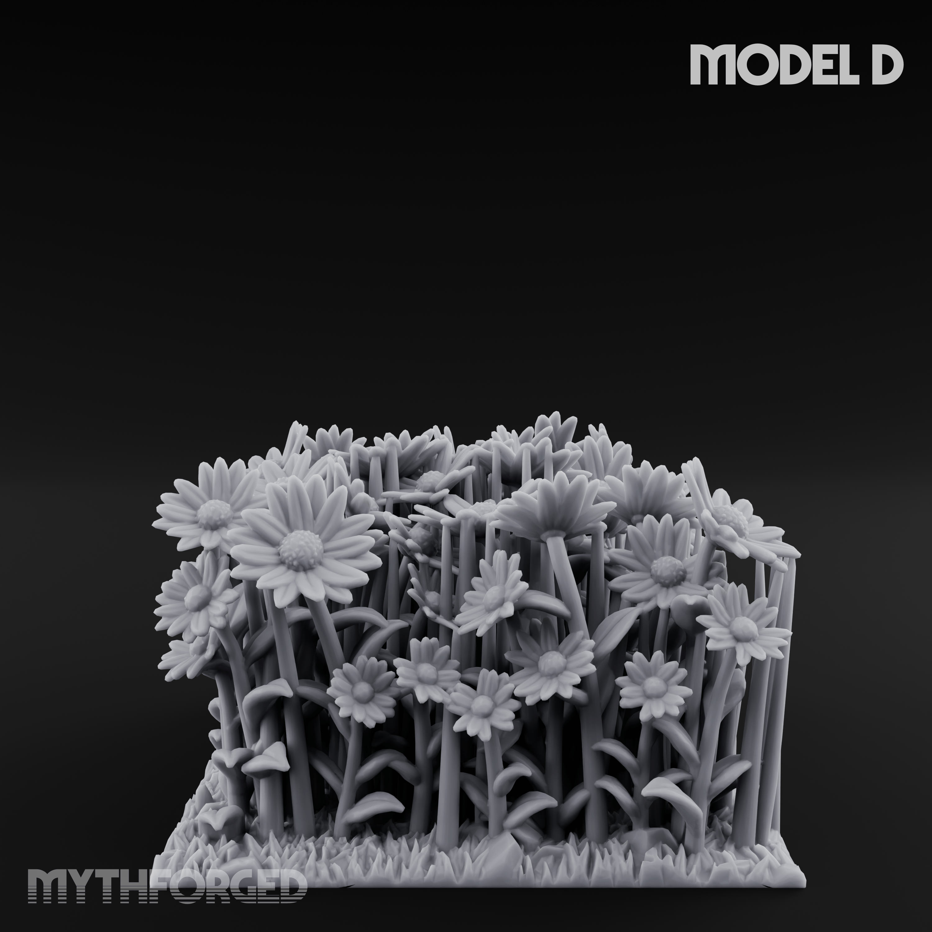 Cultivated Wildflower Meadows D