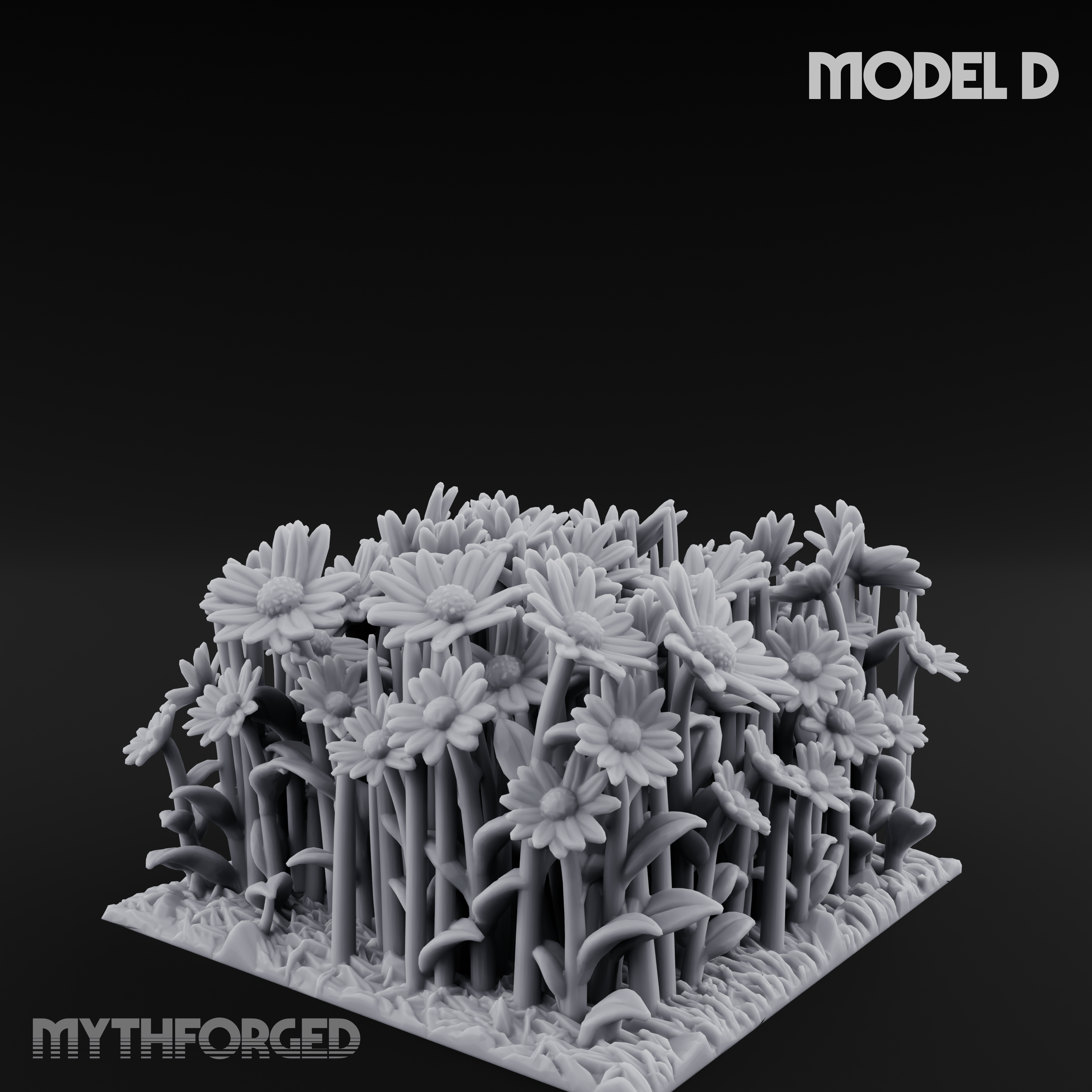 Cultivated Wildflower Meadows D