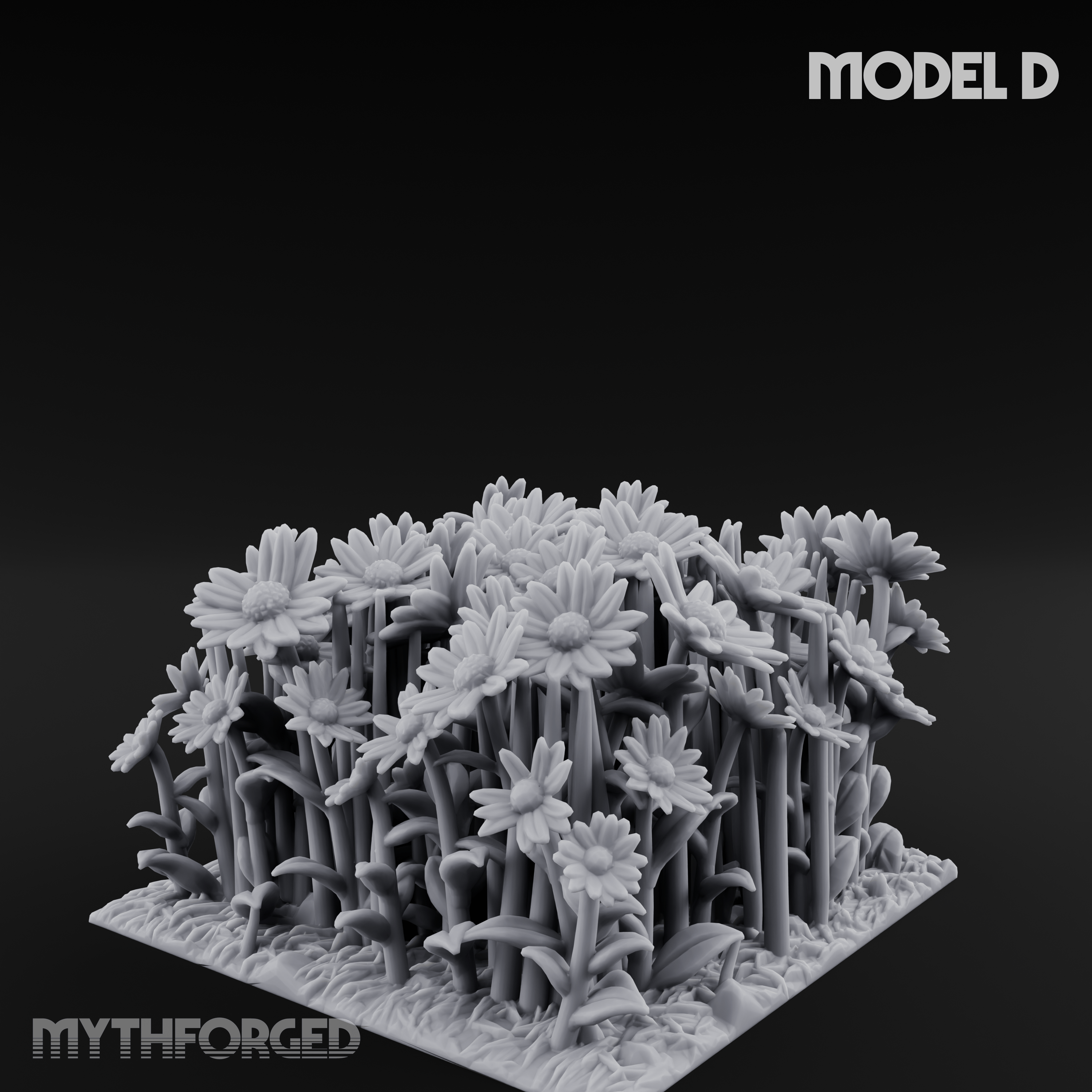 Cultivated Wildflower Meadows D