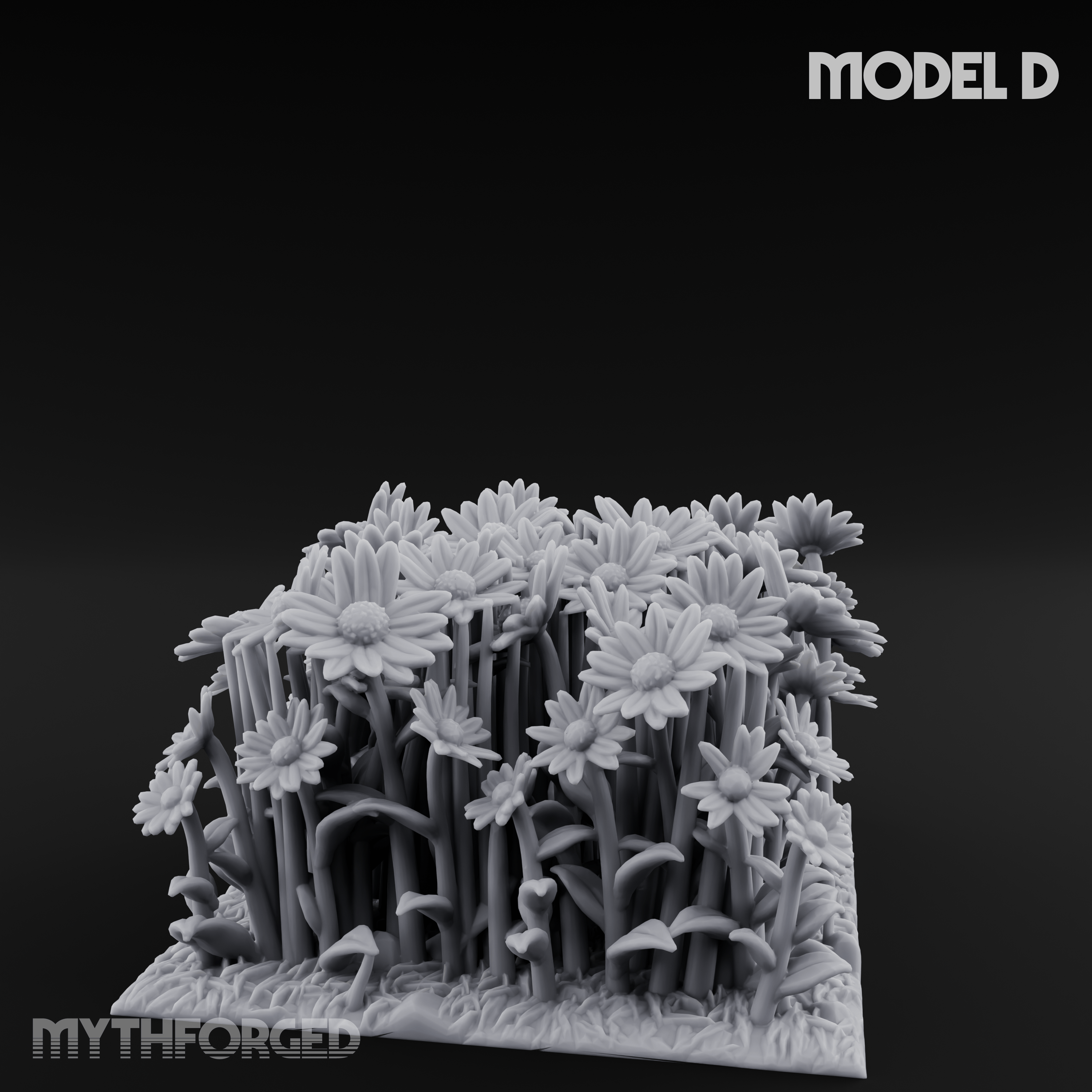 Cultivated Wildflower Meadows D