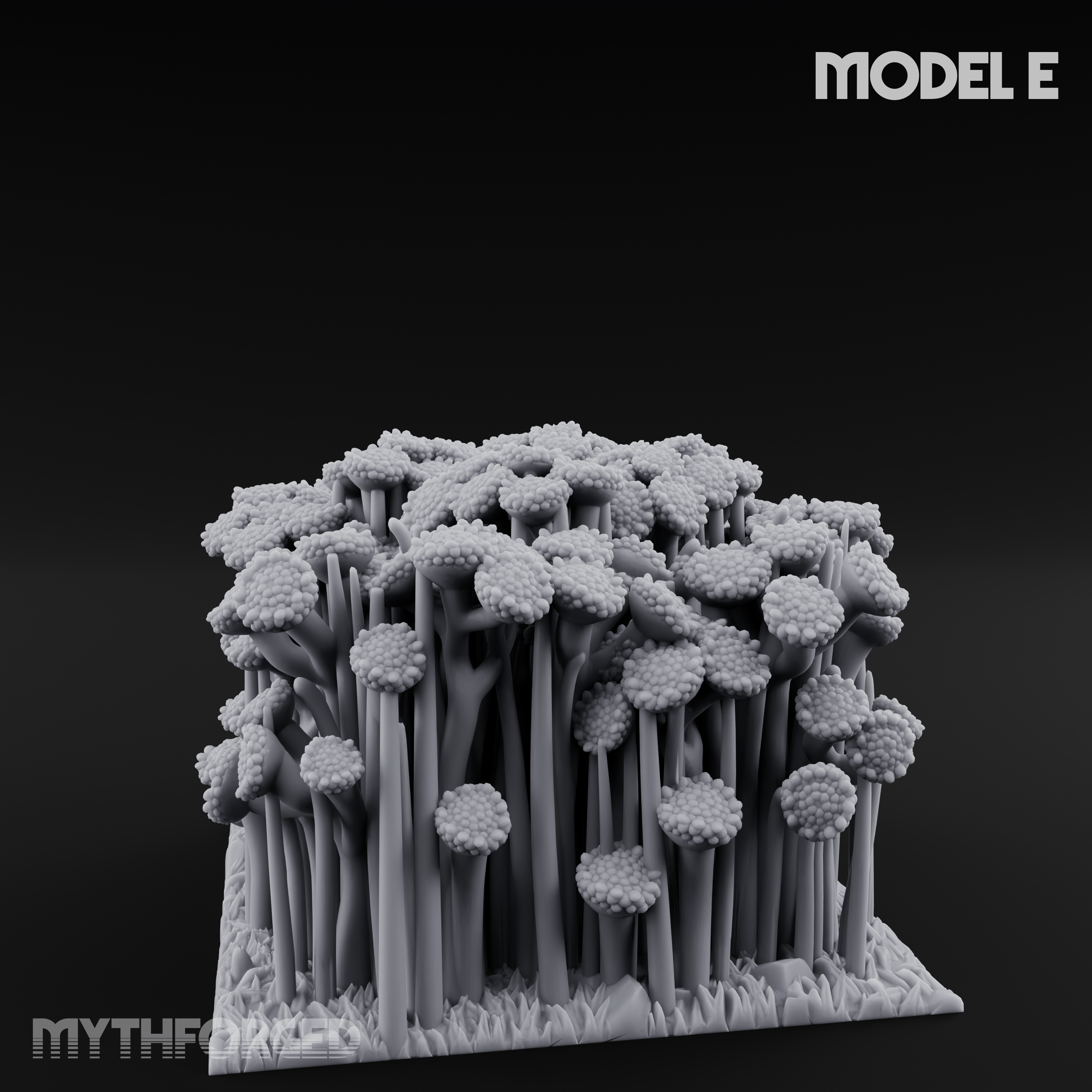 Cultivated Wildflower Meadows E