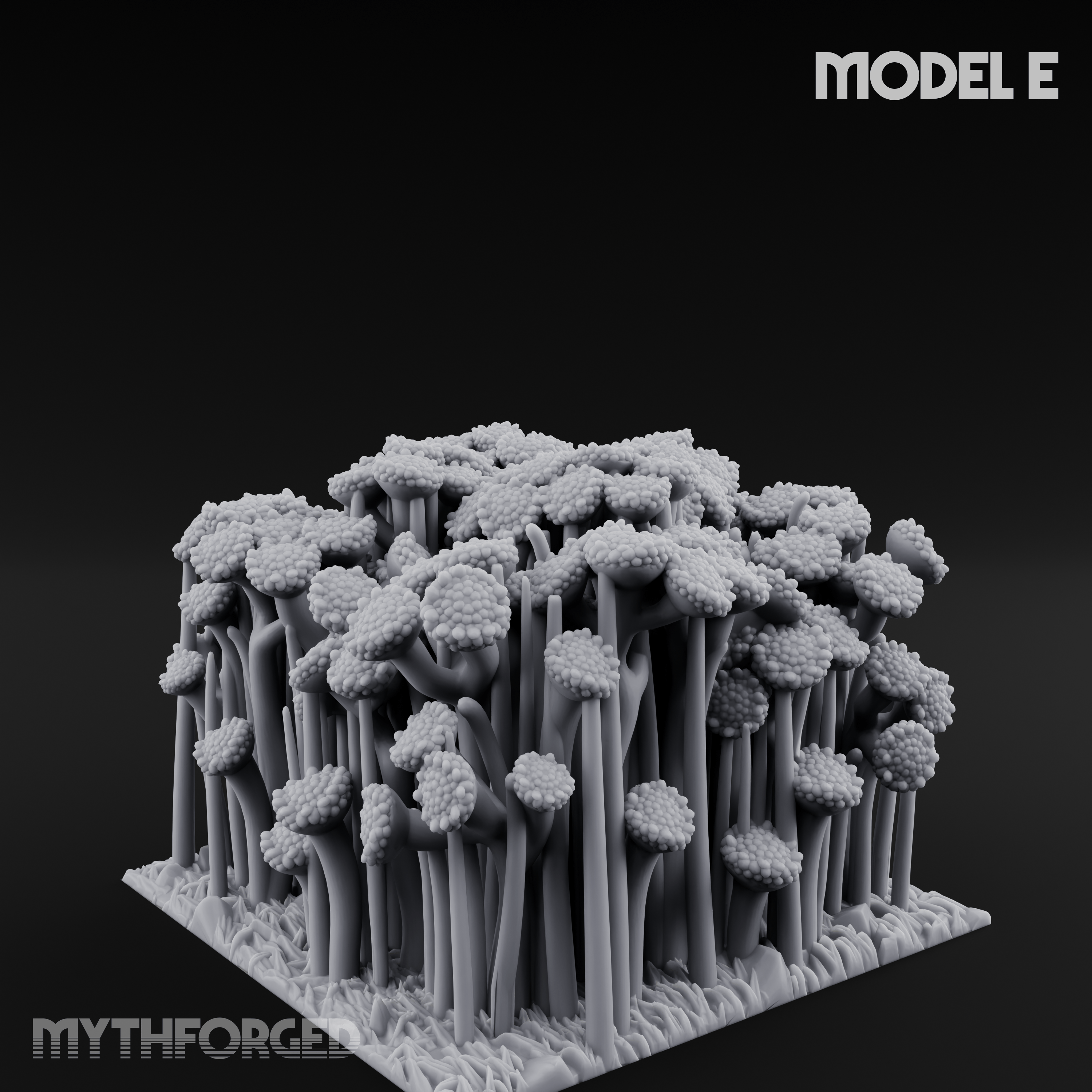 Cultivated Wildflower Meadows E