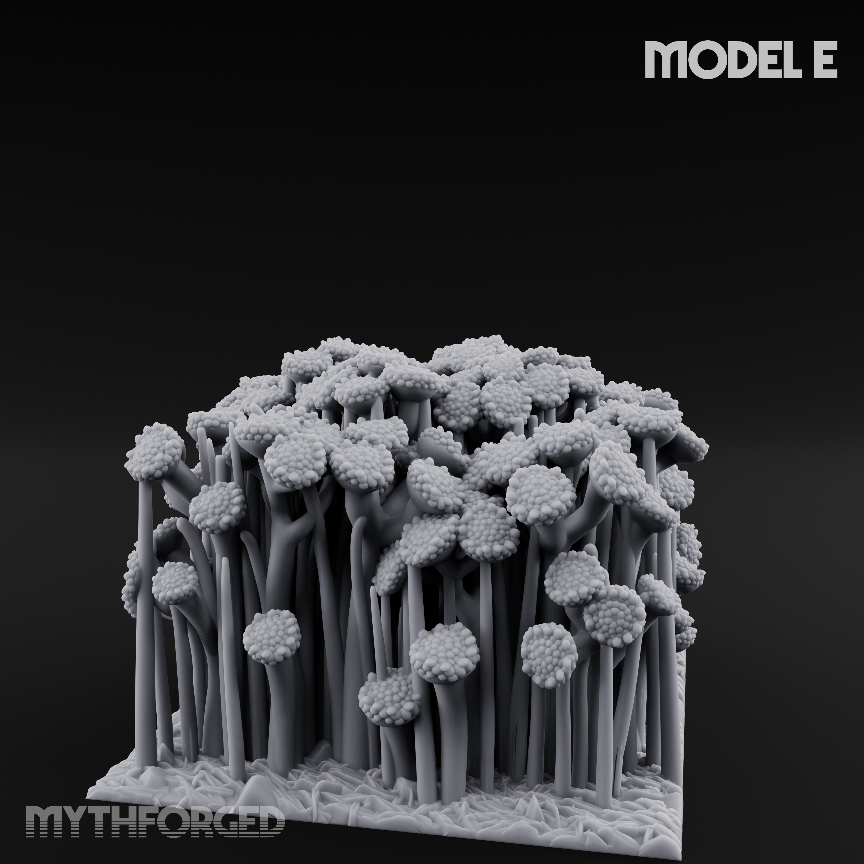 Cultivated Wildflower Meadows E