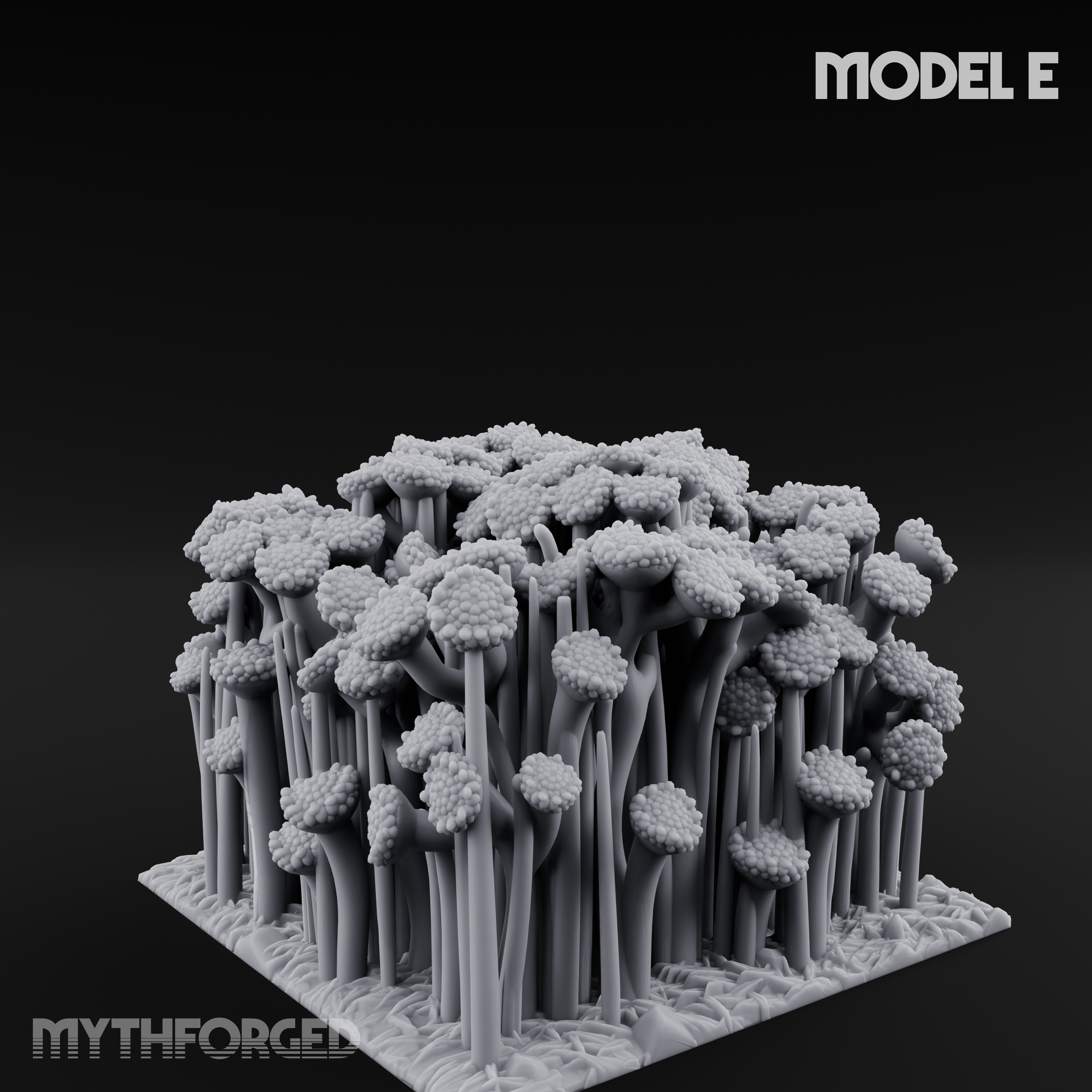 Cultivated Wildflower Meadows E