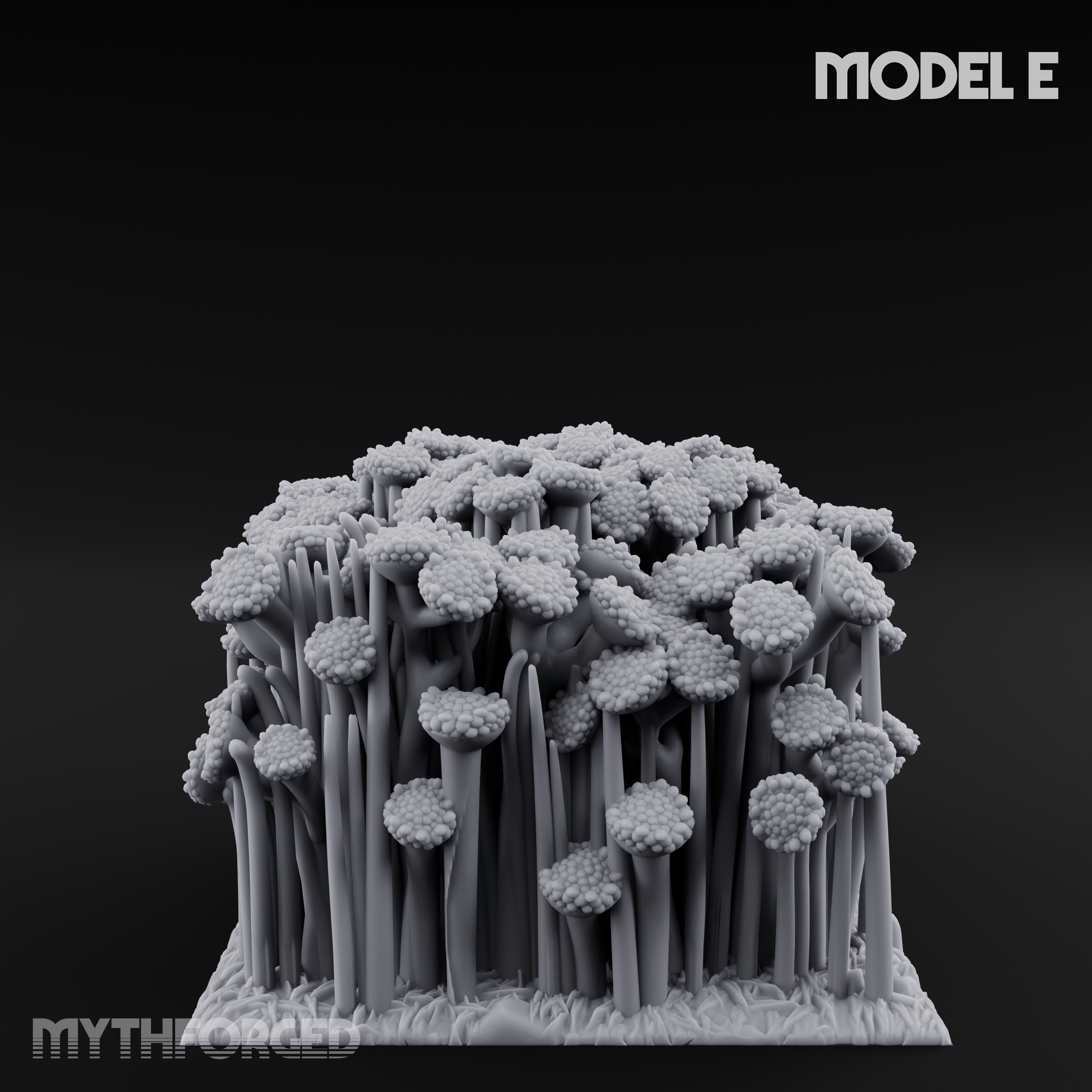 Cultivated Wildflower Meadows E