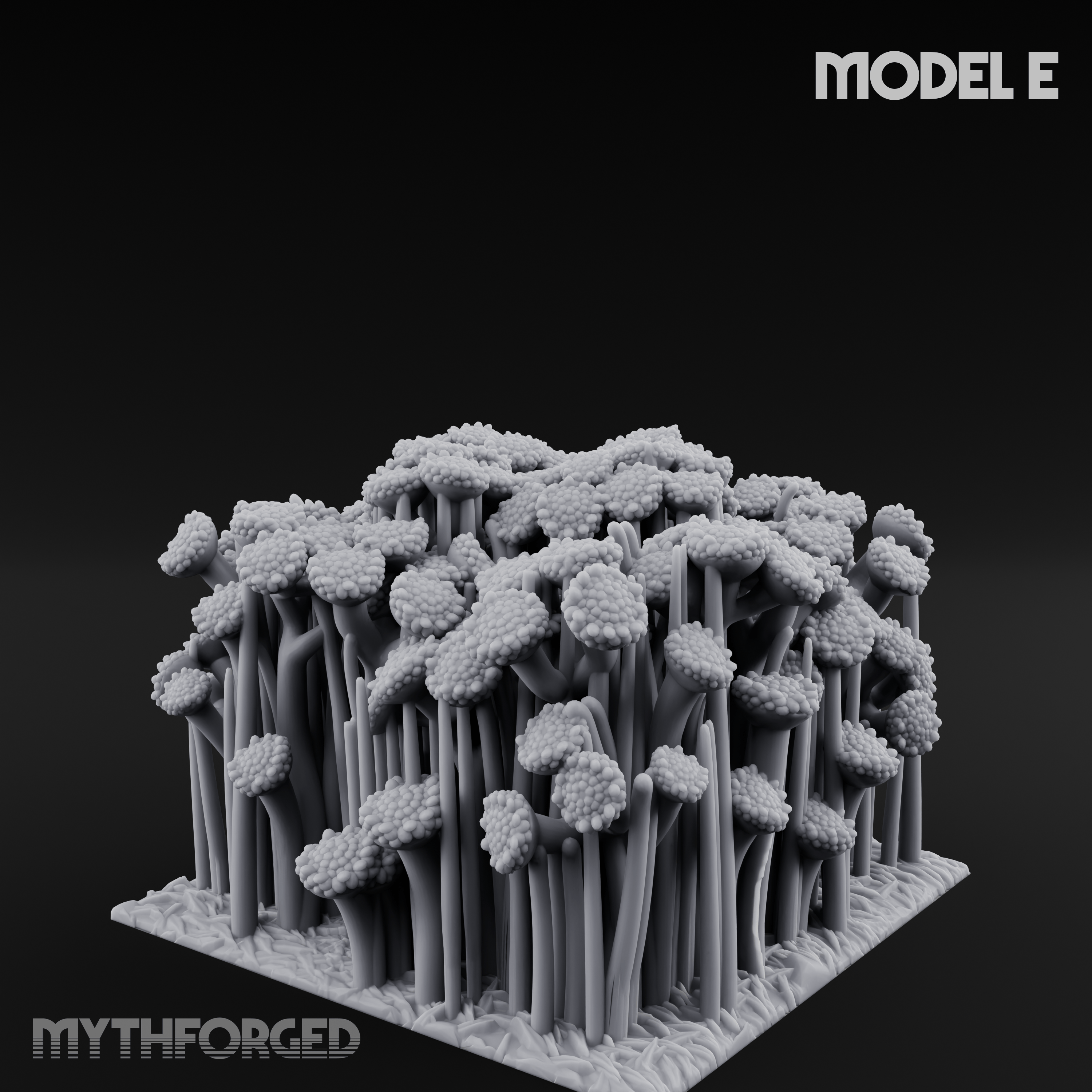 Cultivated Wildflower Meadows E