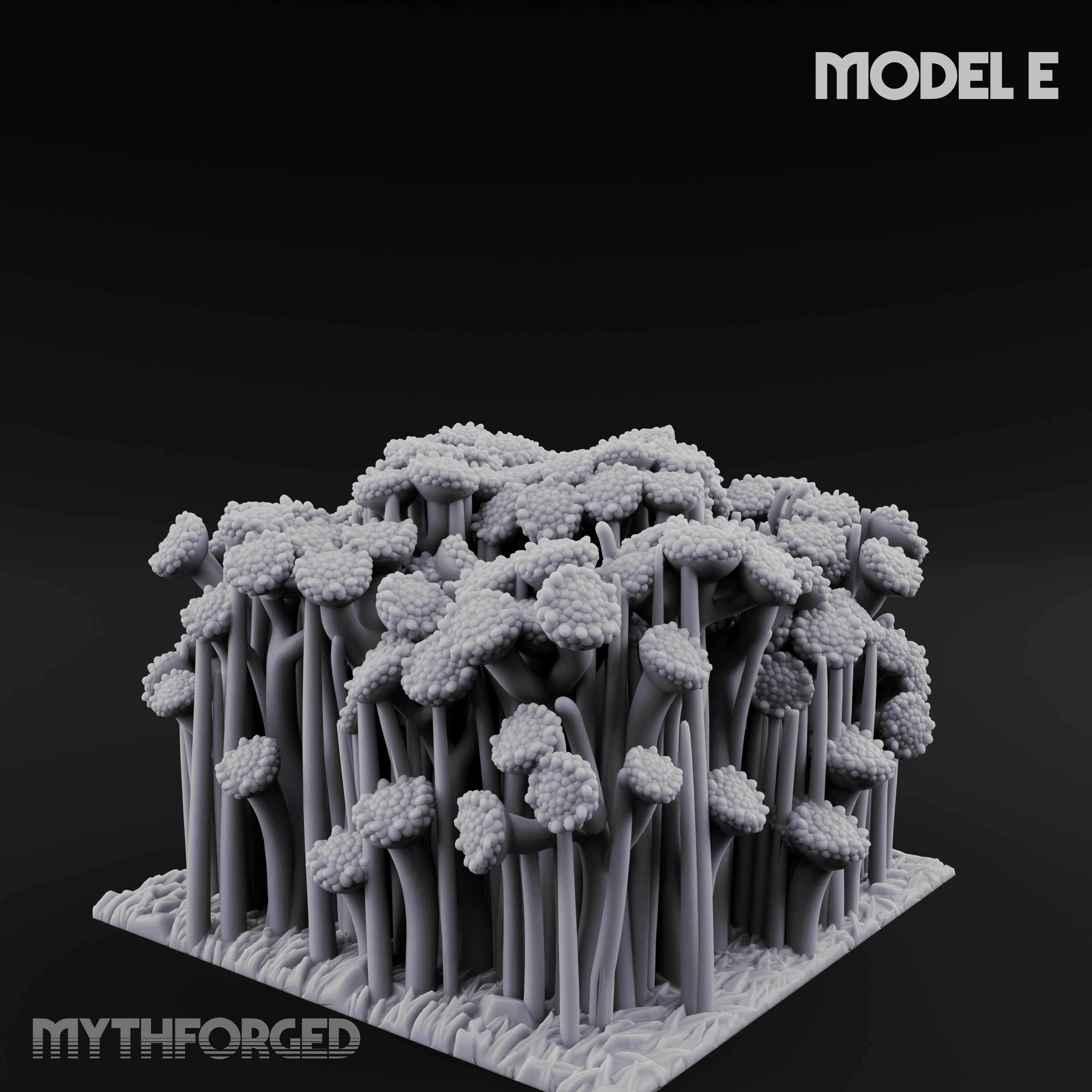 Cultivated Wildflower Meadows E