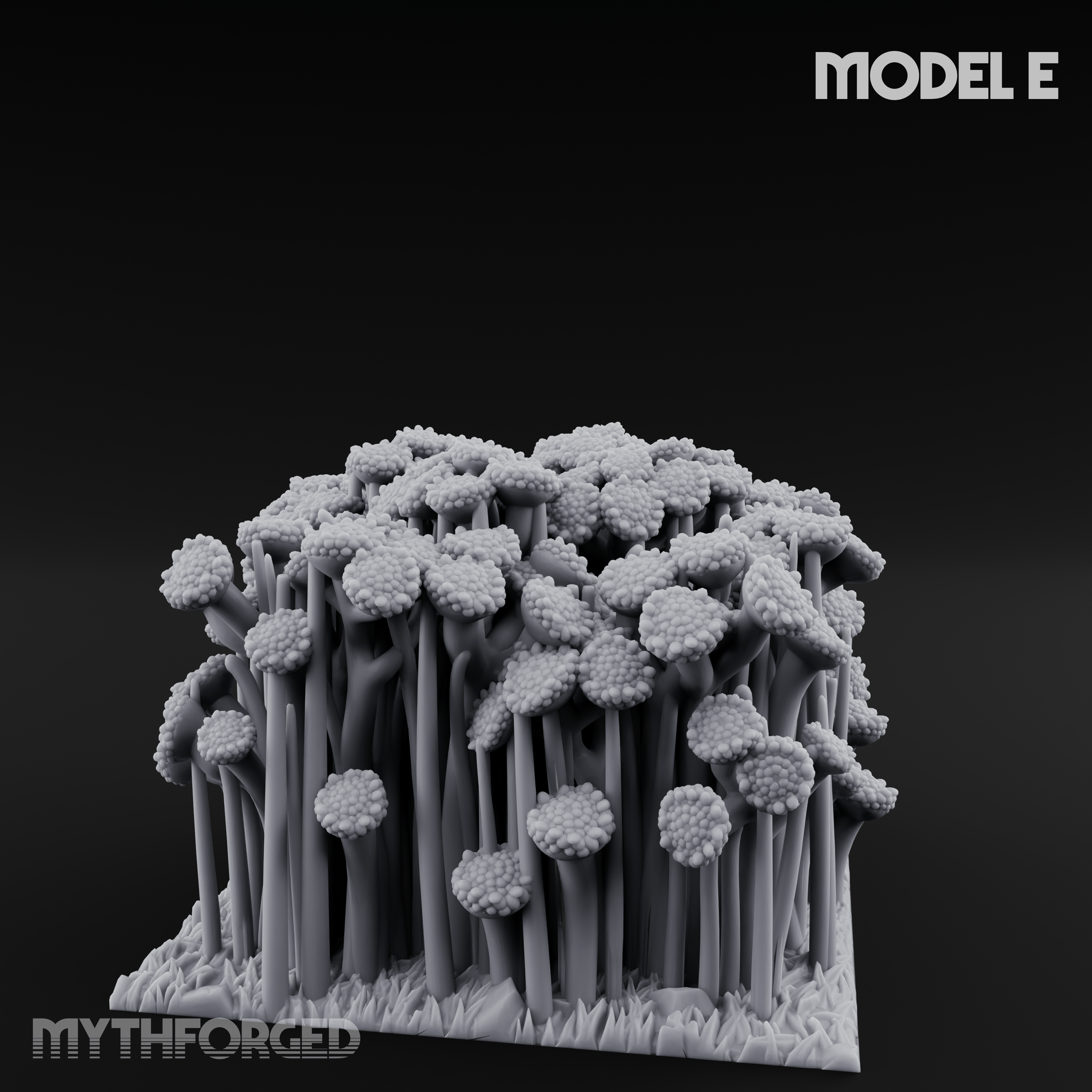 Cultivated Wildflower Meadows E