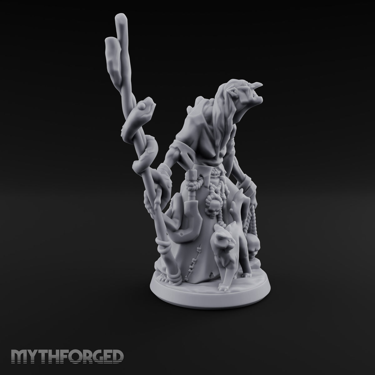 Warts and Skulls Hag Witch A — With Cat