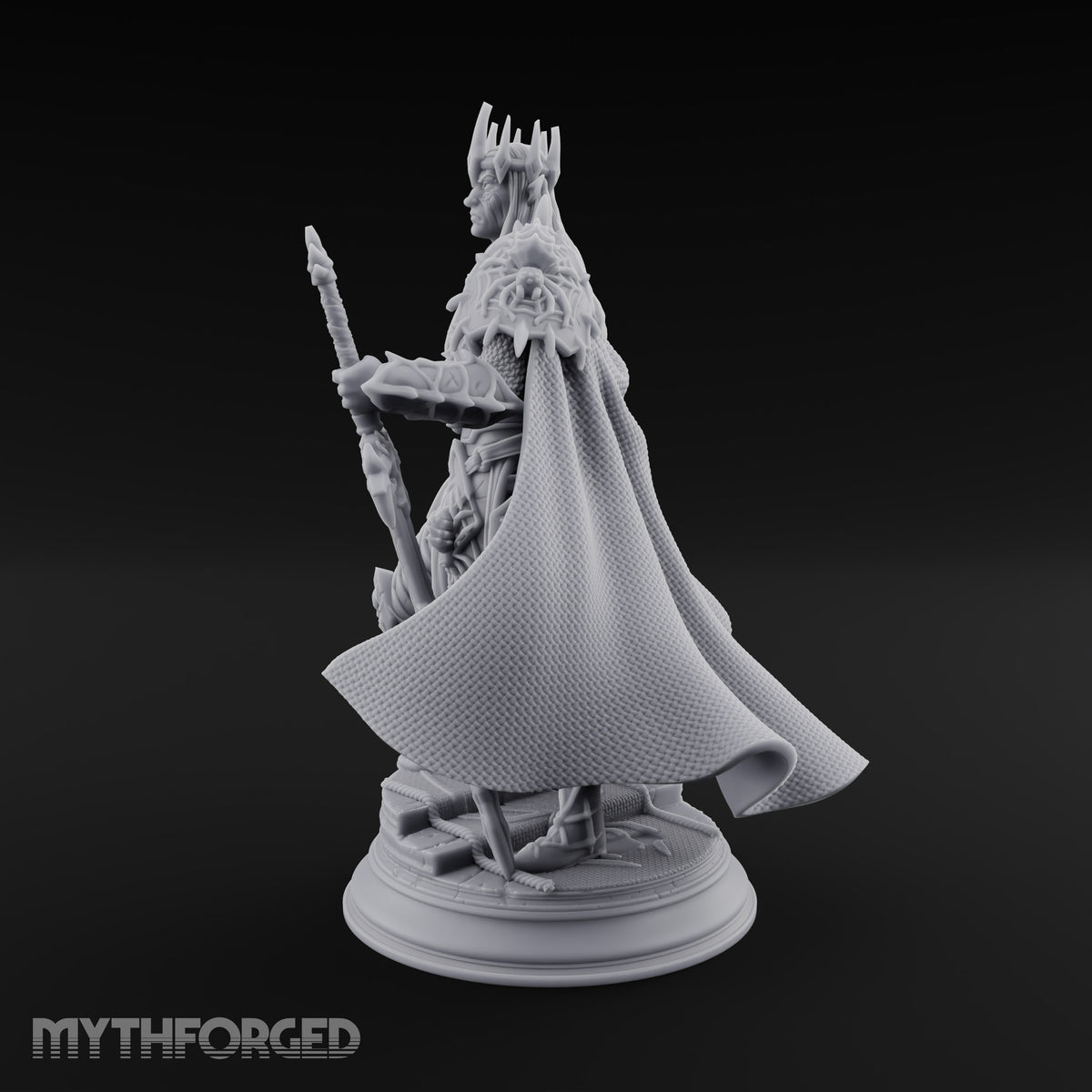 A Point of Authority Drow General