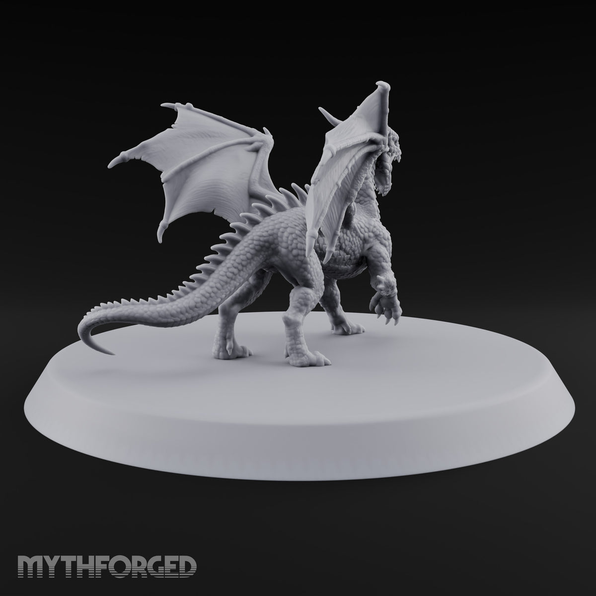 Teenage Dragon, Adult Opinions Young Dragon