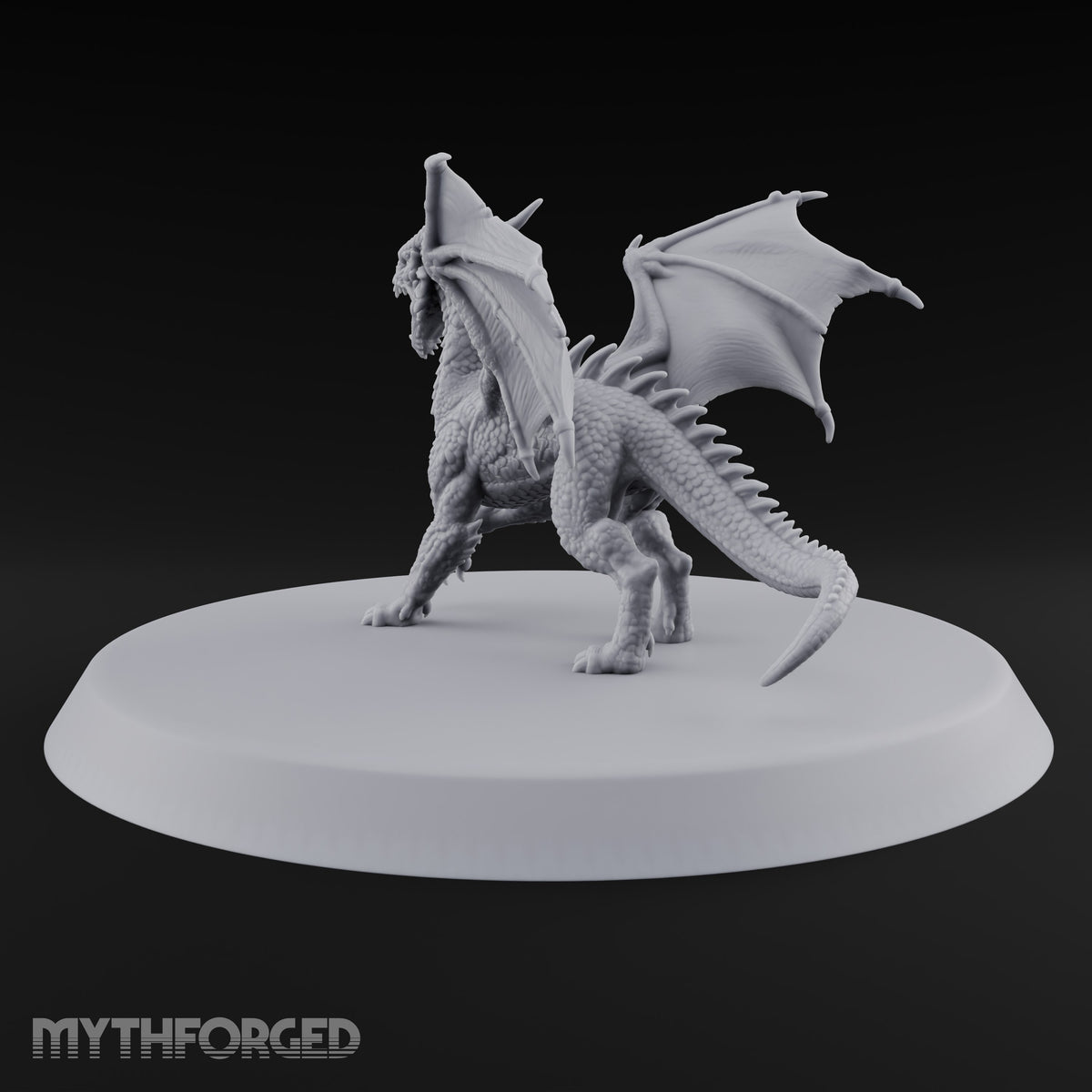 Teenage Dragon, Adult Opinions Young Dragon