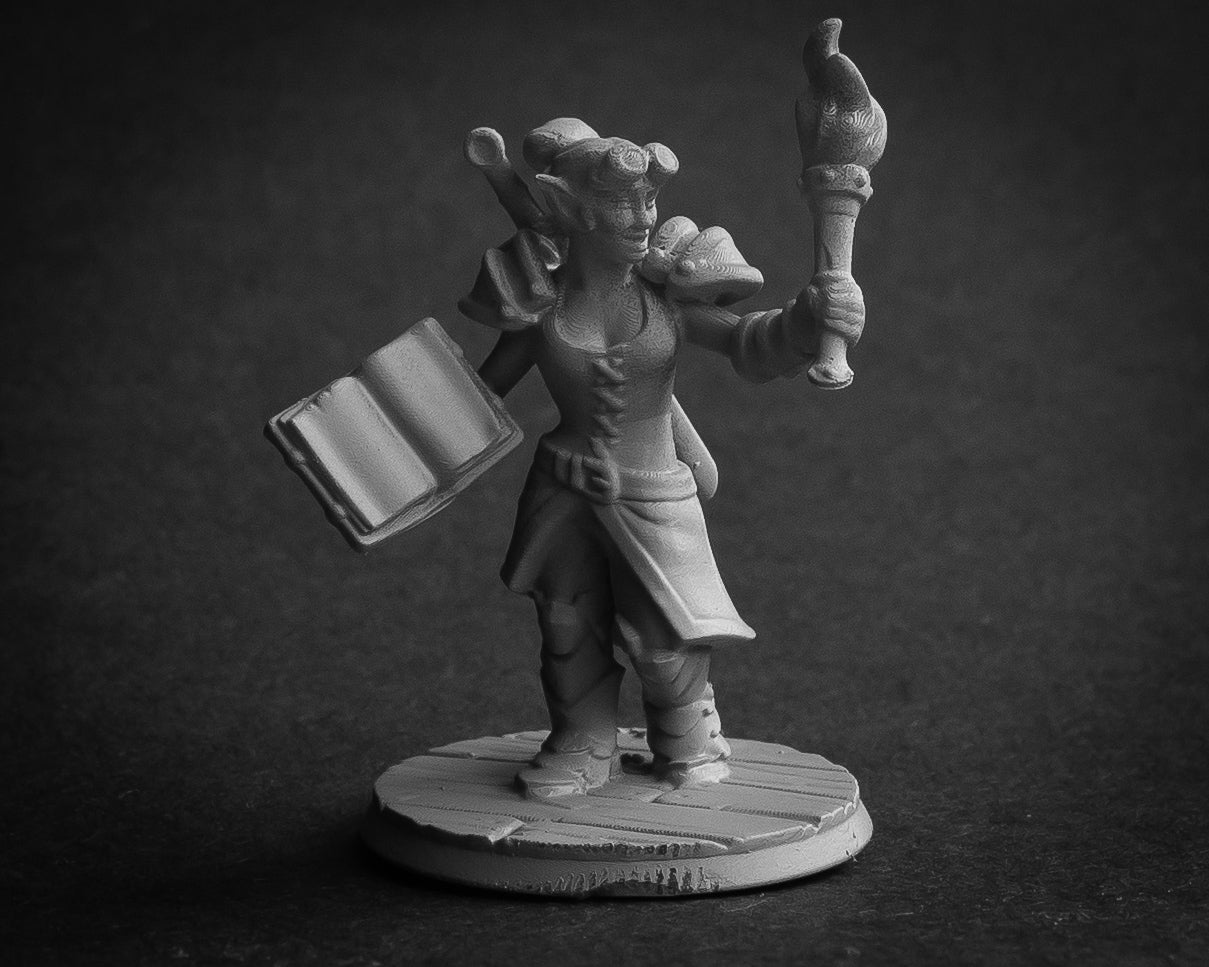 STL - Miniature Printing Service Miniature for Dungeons and Dragons, Pathfinder or other TTRPGs