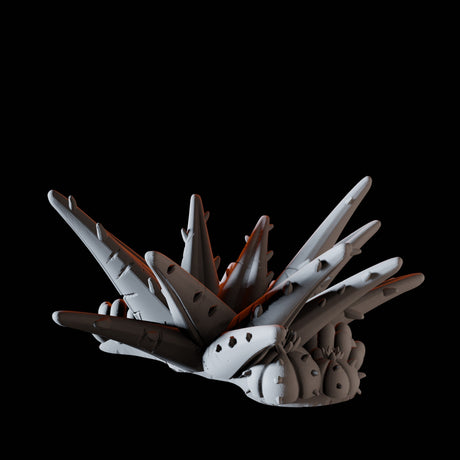 Agave
