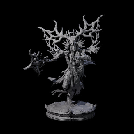 Ancient Dark Elf Druid of the Underdark A