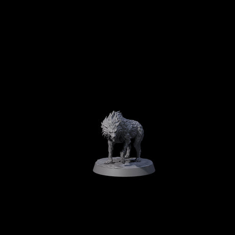 Angry Young Wolf