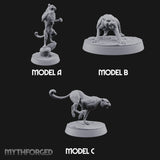 Stand, Stalk, Sprint Panther Beasts — All