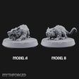 Gutter Gnawers Out Early Giant Rats — All