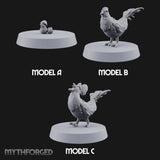 Pecking Order Barnyard Chickens — All · A + A