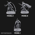 Braid Cracks Like a Whip Elf Sentinel Swordswomen — All
