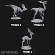 Long Necks, Short Tempers Ceratopsian Dinosaurs — All