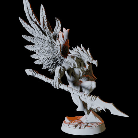 Aarakocra Fighter with Spear and Shield Miniature for Dungeons and Dragons, Pathfinder or other TTRPGs