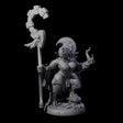 Alluring Tortle Pin-up Miniature for Dungeons and Dragons, Pathfinder or other TTRPGs