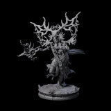 Ancient Dark Elf Druid of the Underdark A Miniature for Dungeons and Dragons, Pathfinder or other TTRPGs