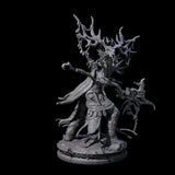 Ancient Dark Elf Druid of the Underdark B Miniature for Dungeons and Dragons, Pathfinder or other TTRPGs