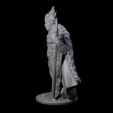 Ancient King Human Chieftain Miniature for Dungeons and Dragons, Pathfinder or other TTRPGs