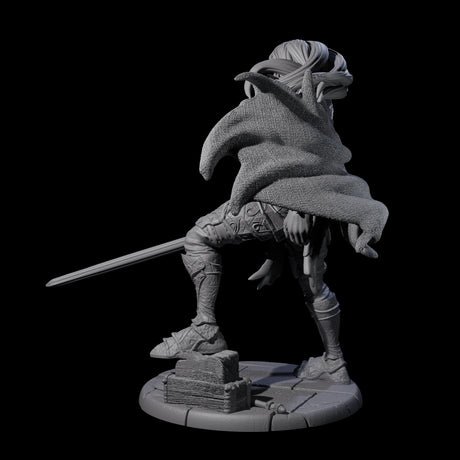 Antea - Brave Armoured Knight Miniature for Dungeons and Dragons, Pathfinder or other TTRPGs