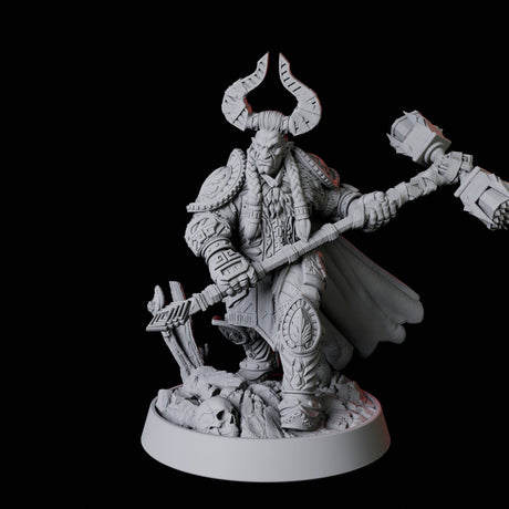 Armoured Warrior Miniature for Dungeons and Dragons, Pathfinder or other TTRPGs