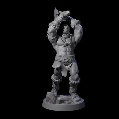 Bald Orc E Miniature for Dungeons and Dragons, Pathfinder or other TTRPGs
