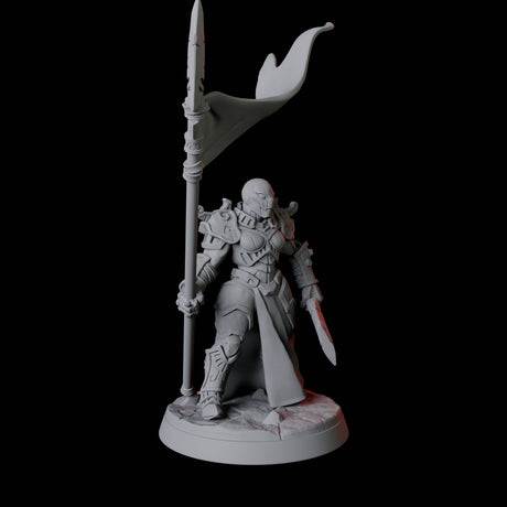 Battle-Ready Warforged E Miniature for Dungeons and Dragons, Pathfinder or other TTRPGs