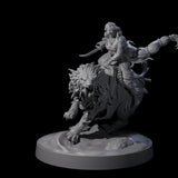 Big Hair Princess Riding a Shaggy Tiger Miniature for Dungeons and Dragons, Pathfinder or other TTRPGs