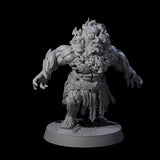 Blazing Dwarf Elder A Miniature for Dungeons and Dragons, Pathfinder or other TTRPGs