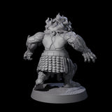Blazing Dwarf Elder A Miniature for Dungeons and Dragons, Pathfinder or other TTRPGs