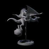 Boiling Lizardfolk Pteranodon Rider A Miniature for Dungeons and Dragons, Pathfinder or other TTRPGs