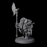Brave Armoured Loxodon B Miniature for Dungeons and Dragons, Pathfinder or other TTRPGs
