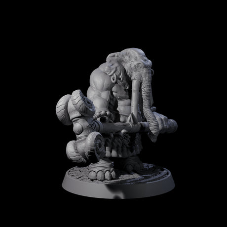 Brave Armoured Loxodon K Miniature for Dungeons and Dragons, Pathfinder or other TTRPGs
