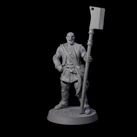 Brave Peasant Soldier D Miniature for Dungeons and Dragons, Pathfinder or other TTRPGs